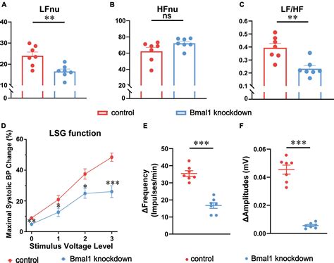 Frontiers Bmal Knockdown In The Left Stellate Ganglion Inhibits