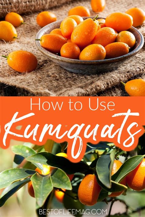 How To Use Kumquats 30 Recipes With Kumquats