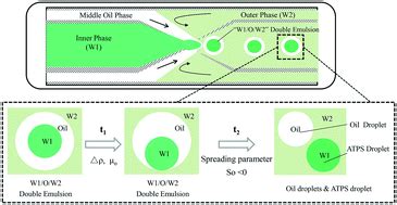 Microfluidic Generation Of Atps Droplets By Transient Double Emulsion