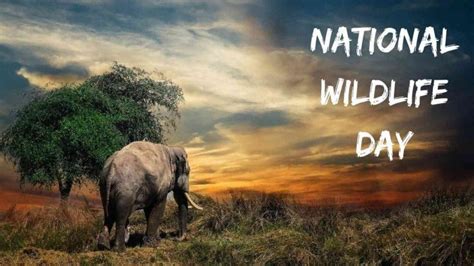 National Wildlife Day 2022 (US): Date, History and Significance - Eduvast.com