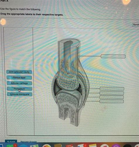 Solved Use The Figure To Match The Following Drag The Chegg