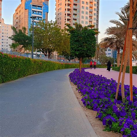 Al Nahda Pond Park Dubai Visit Dubai Dubai Pond