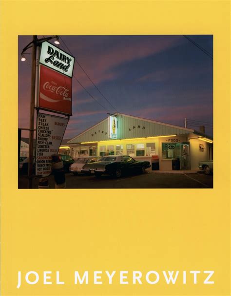 Joel Meyerowitz Artists Edwynn Houk Gallery