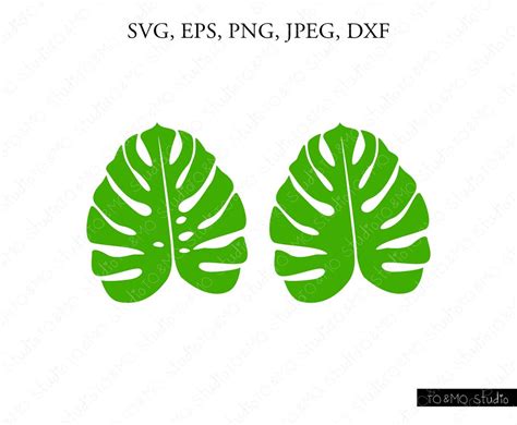 Tropical Leaf Svg Leaf Svg Tropical Leaf Clipart Summer Svg Palm