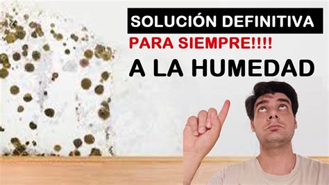 Solucion Definitiva De La Humedad En Pared YouTube