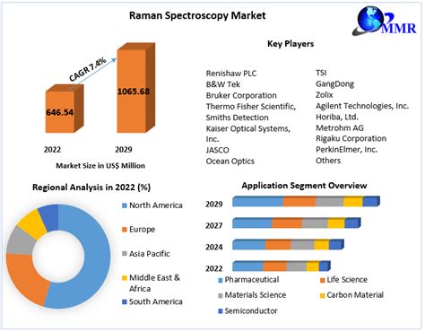 Raman Spectroscopy Market Global Industry Analysis And Forecast 2029