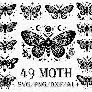 Moth Svg Bundle Moths Clipart Moth Png Moth Line Drawing Cut