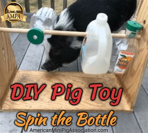 DIY Pig Toy - Treat Dispensing Toy - Mini Pig Spin the Bottle Game. An easy & fun enrichment ...