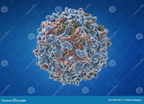 Parvovirus B19 Royalty Free Stock Image CartoonDealer 67448764