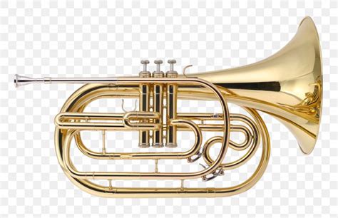 Cornet Mellophone Euphonium Trumpet Saxhorn PNG 1120x724px Cornet