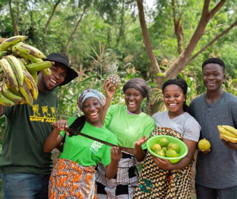 African Development Bank Group AfDB Press Release Ghanaian And