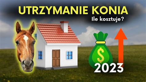 Ile Kosztuje Utrzymanie Konia W Cda