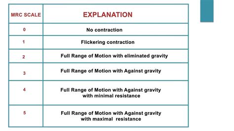 Manual Muscle Test Rating Scale