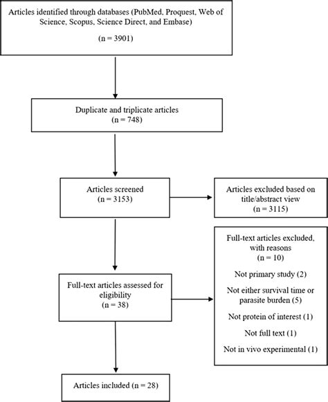 Flowchart Describing The Study Design Process Download Scientific Diagram