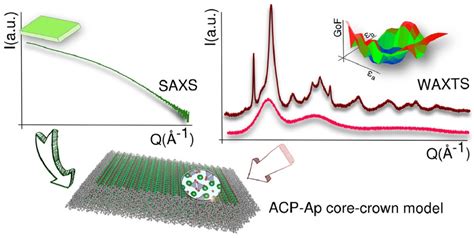 Nanomaterials Free Full Text Nanosized Calcium Phosphates As Novel Macronutrient Nano