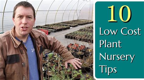 Low Cost Plant Nursery Tips Youtube