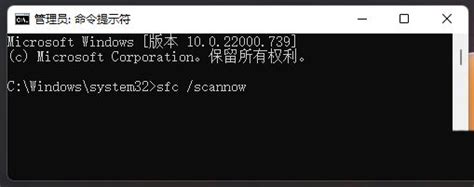 Win11出现错误0x80004005怎么办？win11错误代码0x80004005怎么解决方法 纯净之家