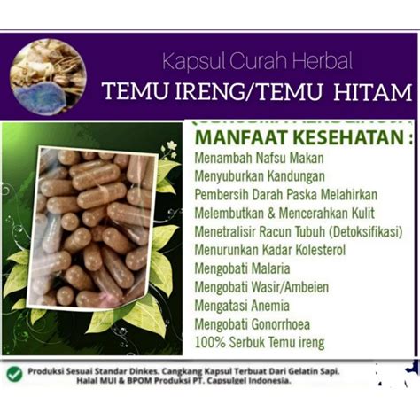 Jual 100 Kapsul Curah Herbal Temu Ireng Temu Hitam Shopee Indonesia