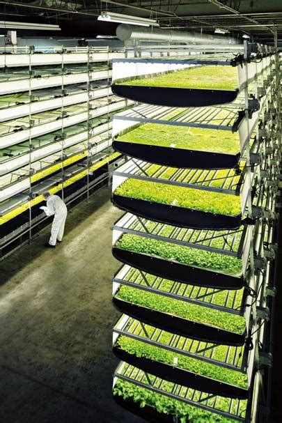 Aerofarm Has Built The World S Largest Vertical Farm Wired Uk