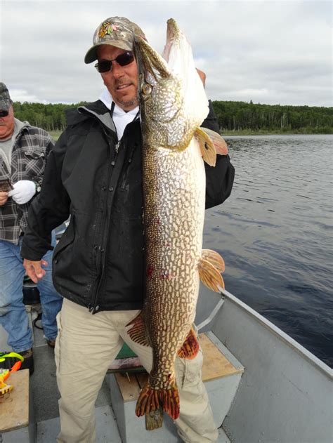 Trophy Northern Pike Photos