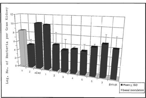 Figure 1 From Histological Findings Of Ascending Urinary Tract