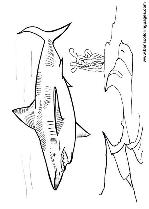 Megalodon free coloring page