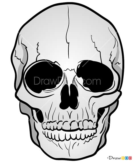 How To Draw A Skull Realistic