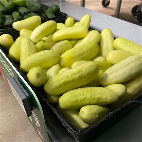 Salt And Pepper Cucumbers Information Recipes And Facts