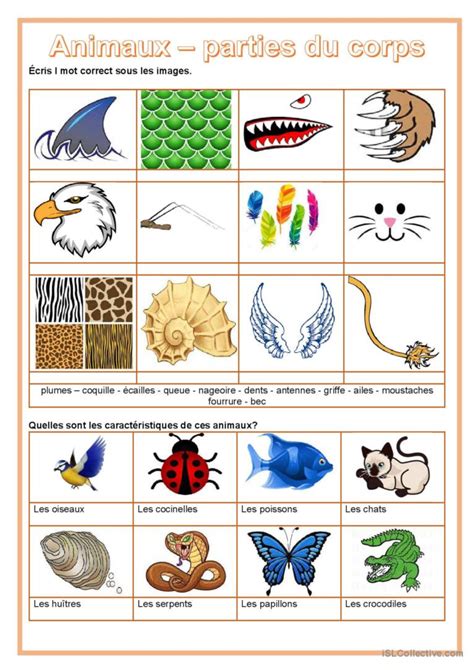 Dictionnaire d'images - Animaux - Pa…: English ESL worksheets pdf & doc