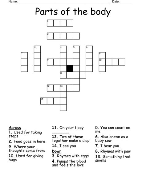 Parts Of The Body Crossword WordMint