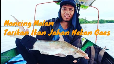 Mancing Malam Tarikan Ikan Jahan🐟👍 Youtube