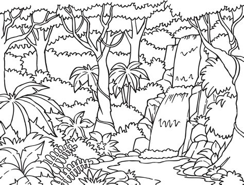 Ecosystem Coloring Pages At Getdrawings Free Download