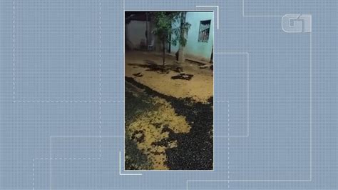 VÍDEO Ruas da cidade de Ibotirama no oeste da BA são tomadas por