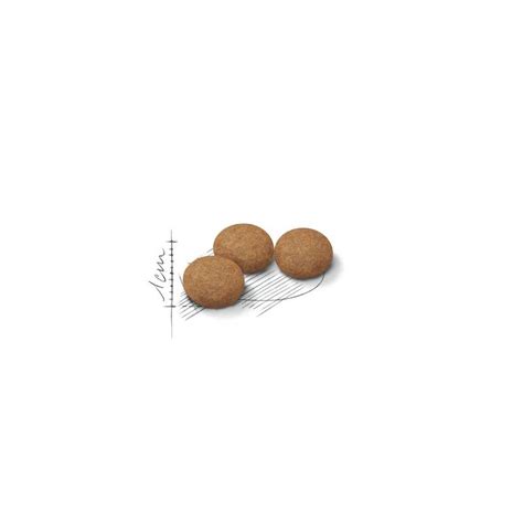 Royal Canin Sterilised Ageing 2kg seniorzy 12+ | Dobra Cena | Sklep ...