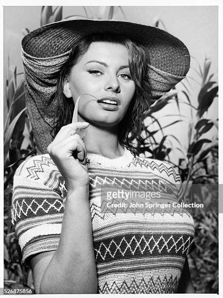 428 Sophia Loren Young Stock Photos, High-Res Pictures, and Images ...