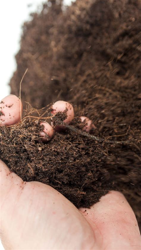 Types of Soil - Little Farm Folk