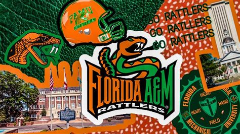 FAMU Rattlers Football Team Wallpaper