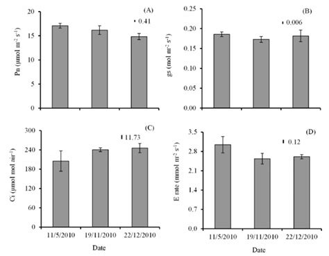 Net Photosynthesis Pn Stomatal Conductance G S Intracellular Co