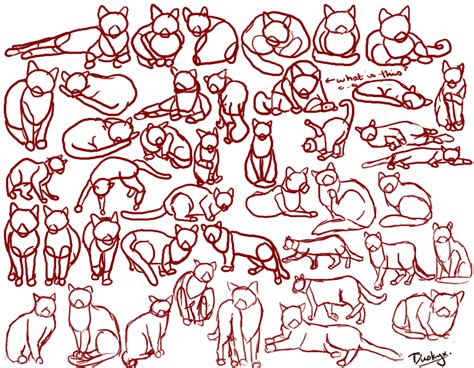 Cat Poses Drawing at GetDrawings | Free download