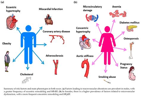 Biomedicines Free Full Text Risk Factors And Cellular Differences