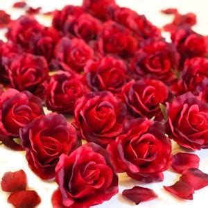 Red Roses Petals Love Romance Valentines Day Decor Gift For Him