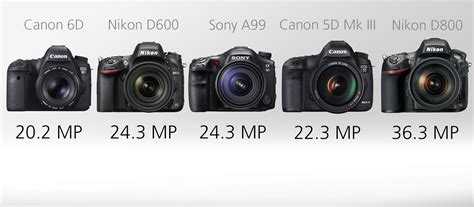 2013 Full Frame DSLR Comparison Guide