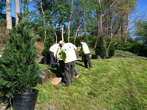NYC & Long Island Tree Planting Benefits | Clearview Tree and Land