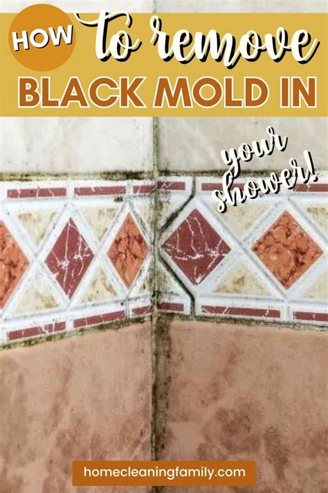 How To Get Rid Of Black Mold Anywhere In Your Shower Artofit