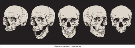 Human Skull Design Photos And Images Shutterstock