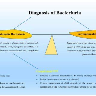 Diagnosis and management of bacteriuria. Asymptomatic bacteriuria does ...