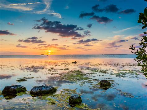 Key Largo Florida 2025 Ultimate Guide To Where To Go Eat And Sleep In