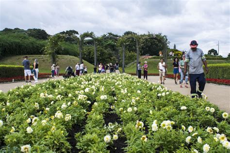 Jardim Nico De Curitiba Ganha Seis Mil Mudas De Novas Flores