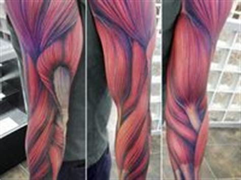 13 Muscle Tattoos Ideas Muscle Tattoo Tattoos Anatomy Tattoo