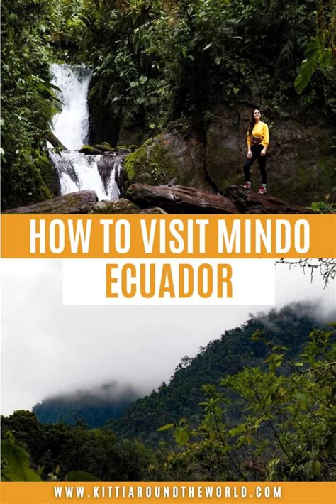 How To Visit Mindo Cloud Forest From Quito In Ecuador Kitti Around